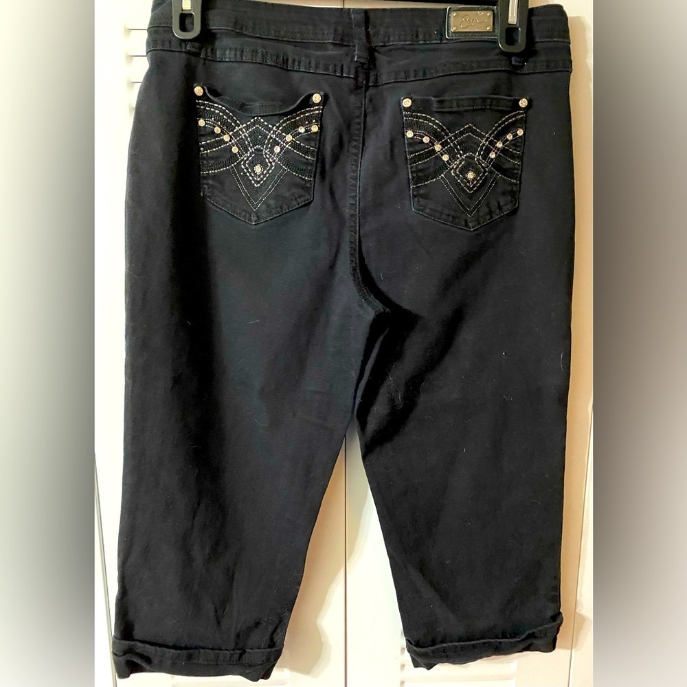 Earl Jeans Denim, Crop, Rhinestones, Embellished, Embroidery, Metallic, Sz 12 - Picture 7 of 12